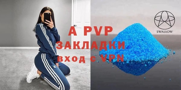 стаф Алексин