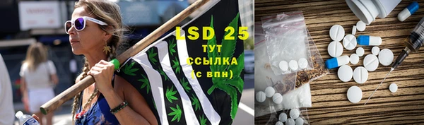 стаф Алексин