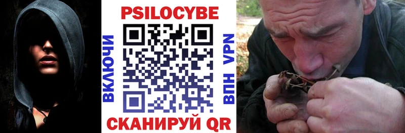 Купить где Буй Псилоцибиновые грибы Cubensis
