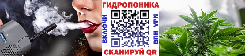 Купить где Буй Шишки марихуана марихуана